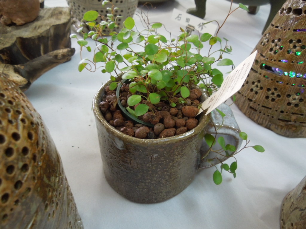 201225