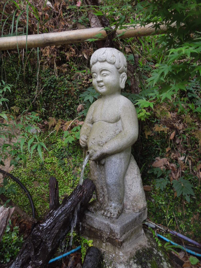 見帰り滝6893