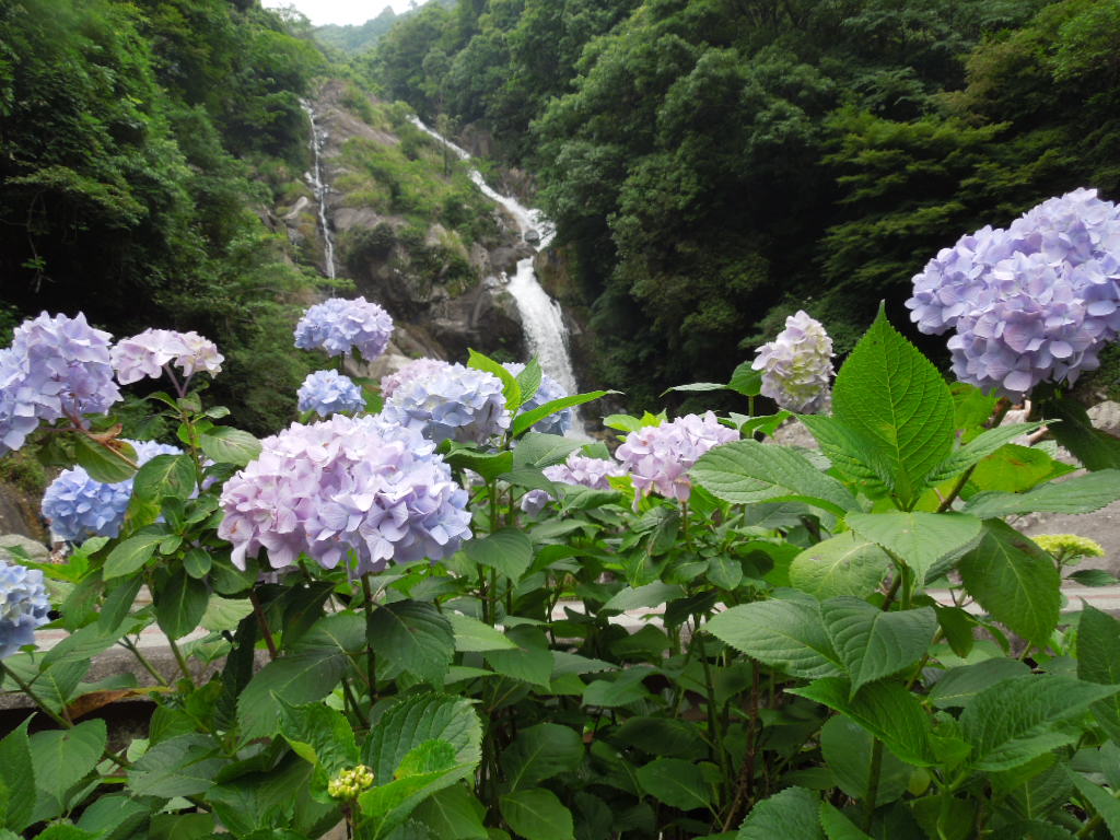 見帰り滝7019