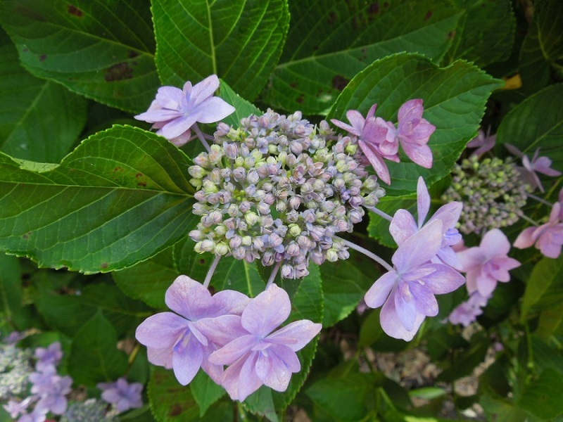 摜19