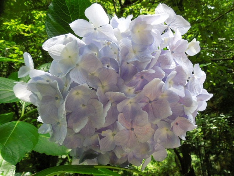 摜25