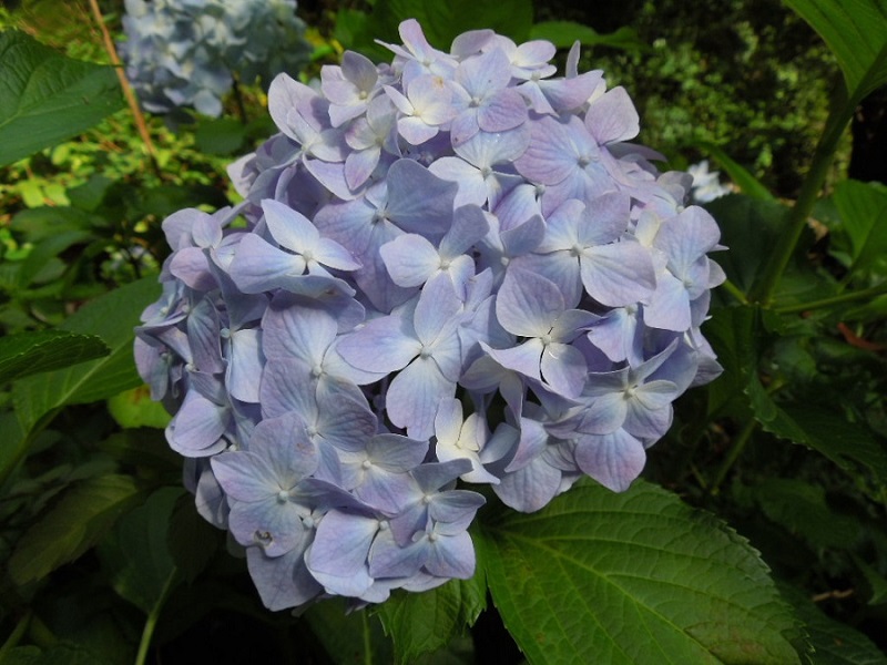 摜32