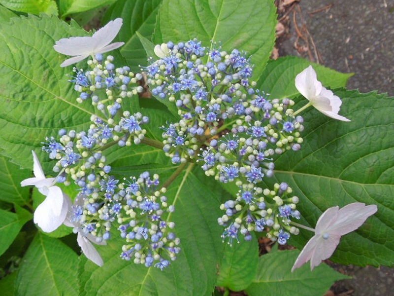 摜53