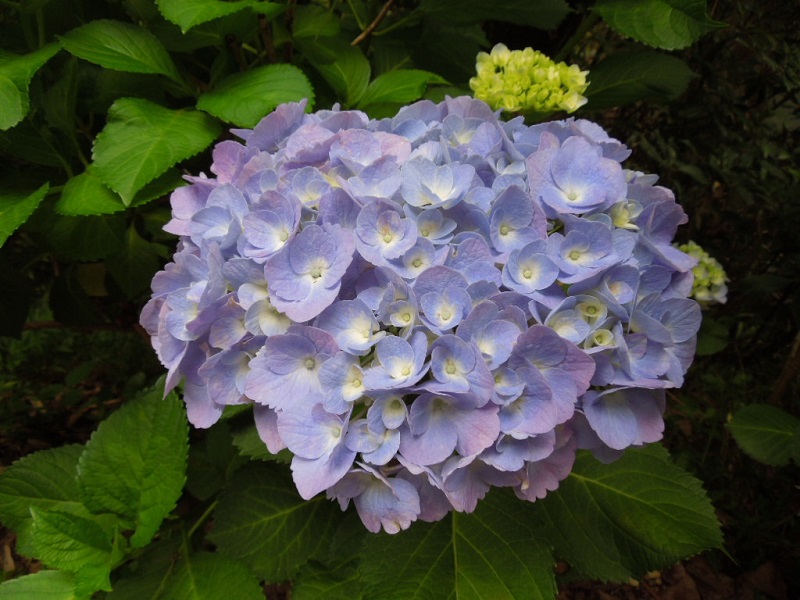 摜6