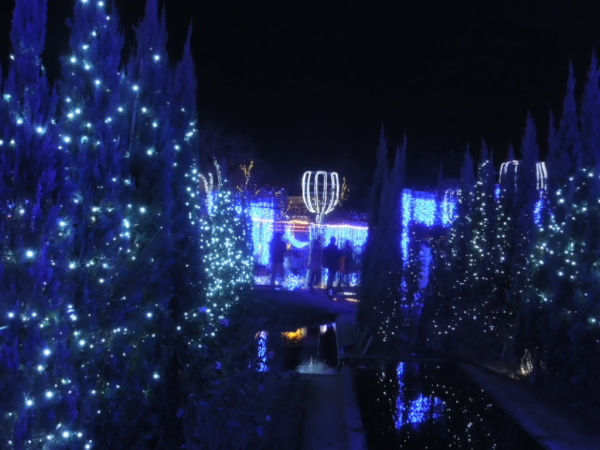 illuminationD4216