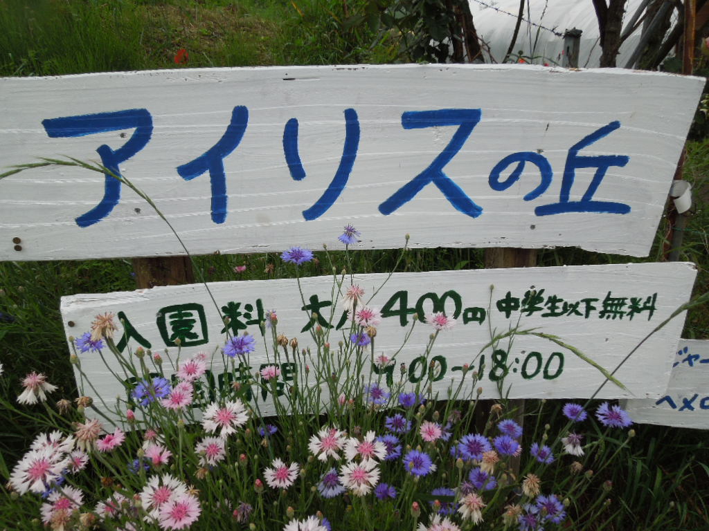 摜0916