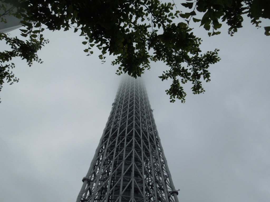 摜0993