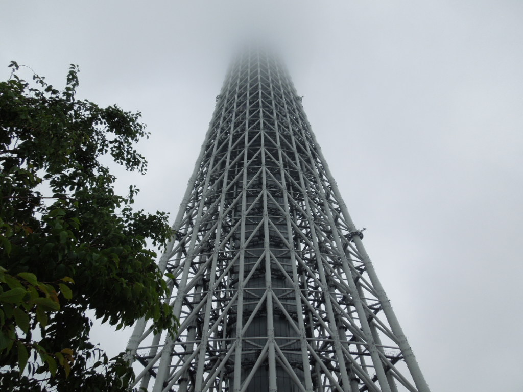 摜0995