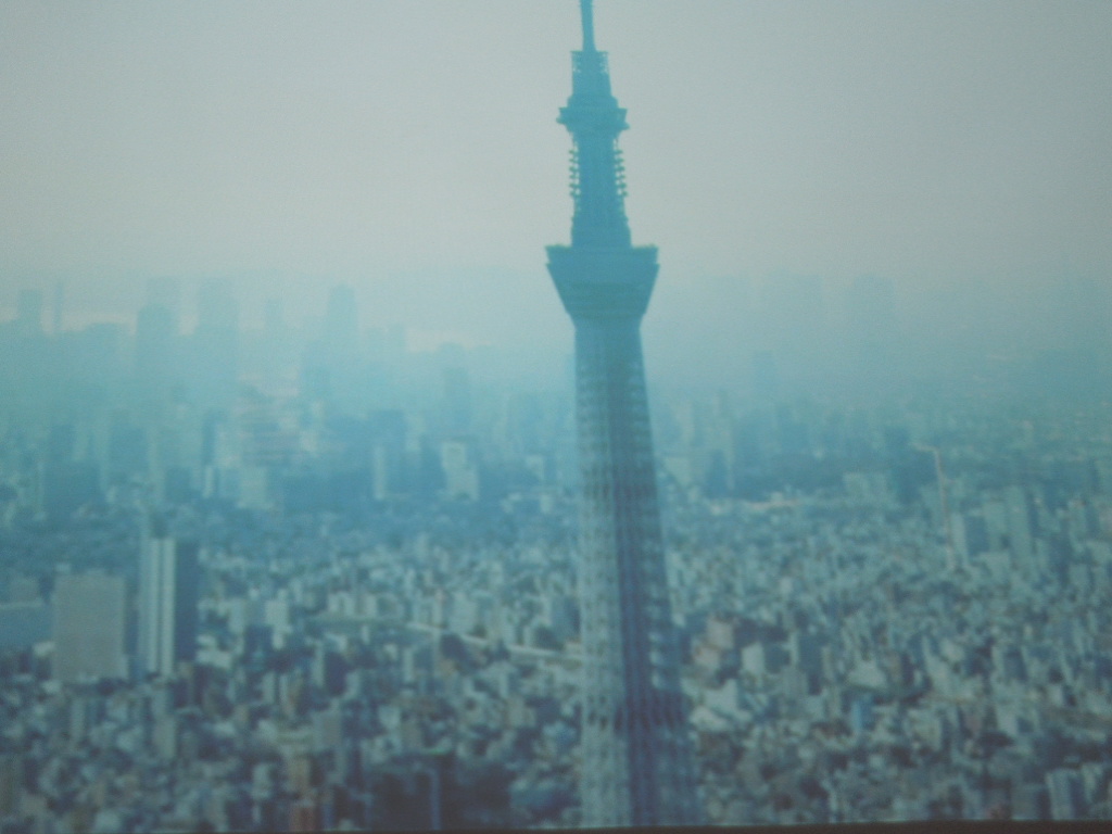 摜1119